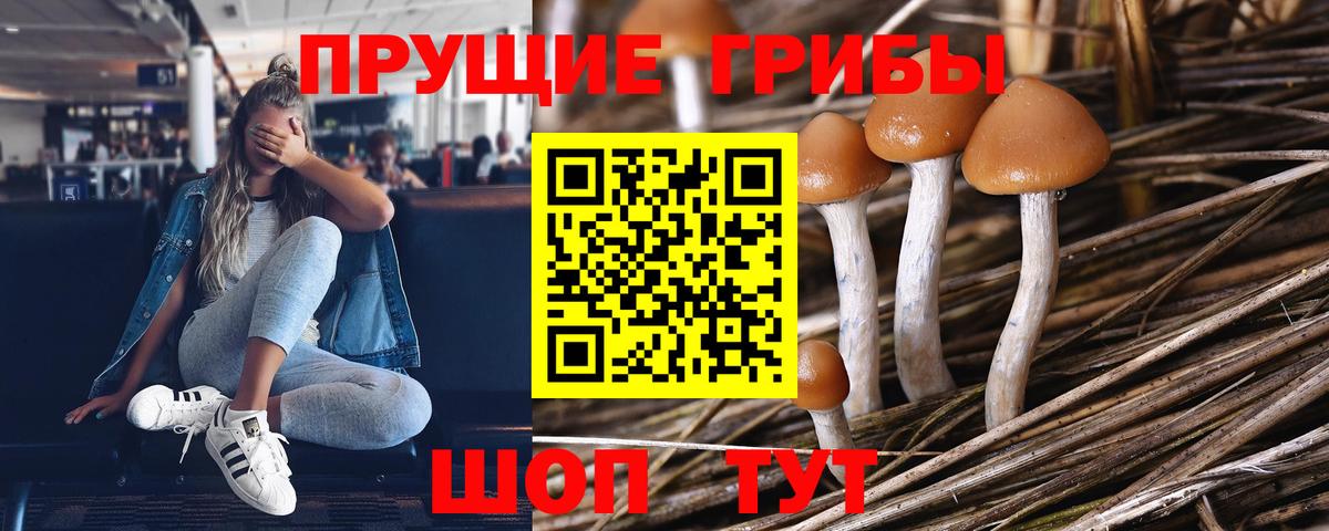 Псилоцибиновые грибы ЛСД Александров