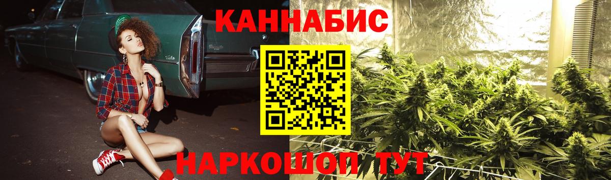 Канабис планчик Александров